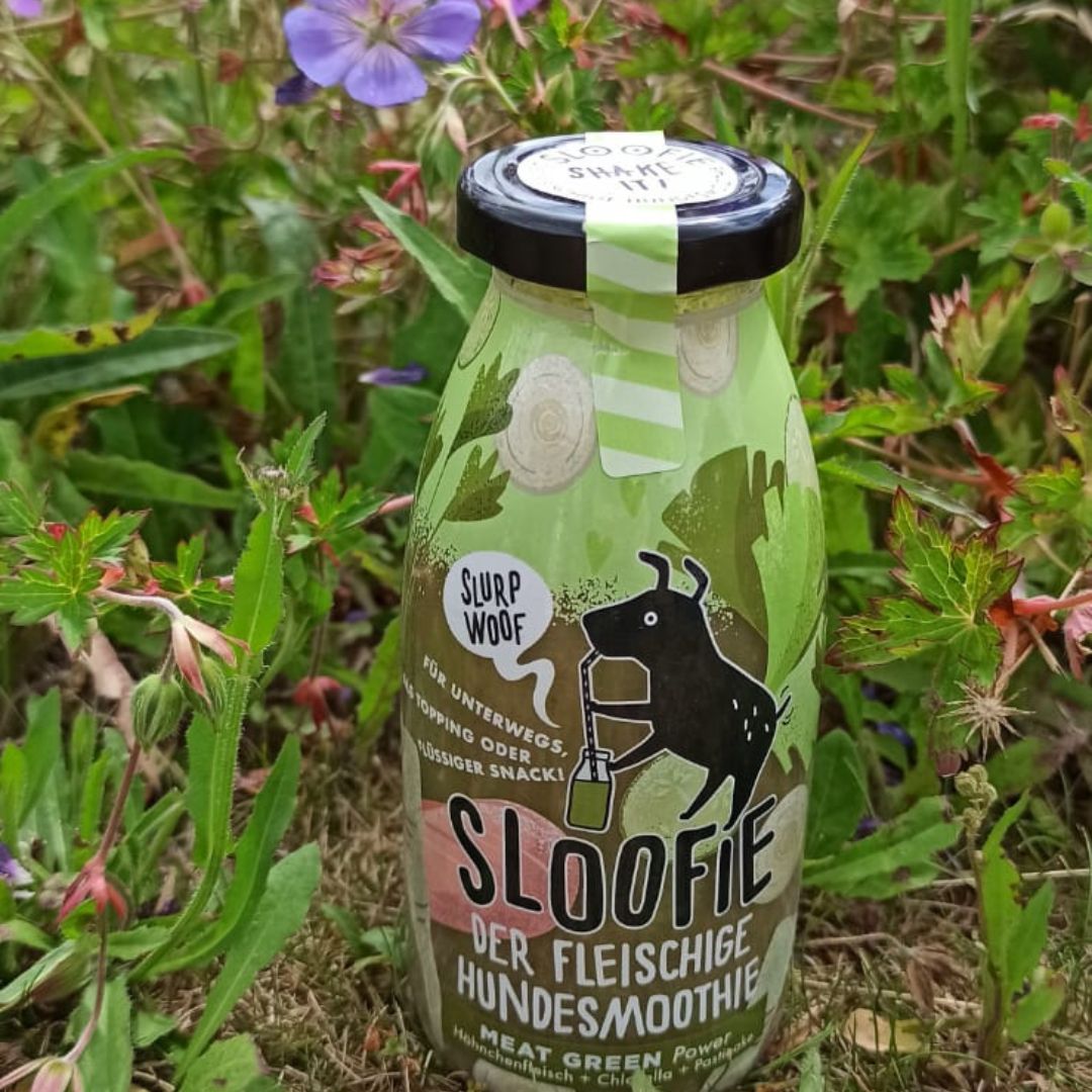 Smoothie sloofie Meat green pour chien.